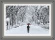 Picture of Lonely Winter Walk Wall Art