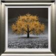 Picture of Mustard Tree