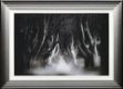 Picture of Dark Hedges B&W