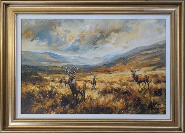 Picture of Stags Grazing